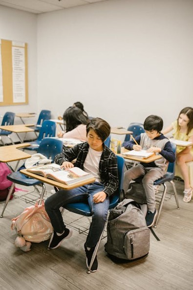 학교폭력변호사