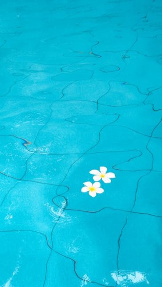 peacefulness